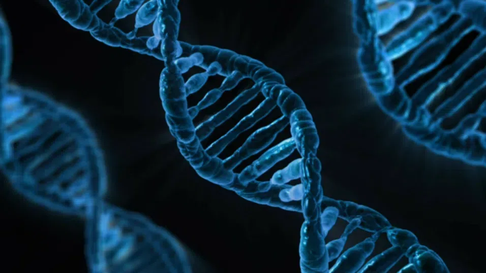 Създаване на човешка ДНК от нулата: Стартира спорен проект с непредвидими последици
