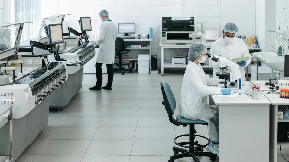 Учени с революционно откритие за хроничната болка