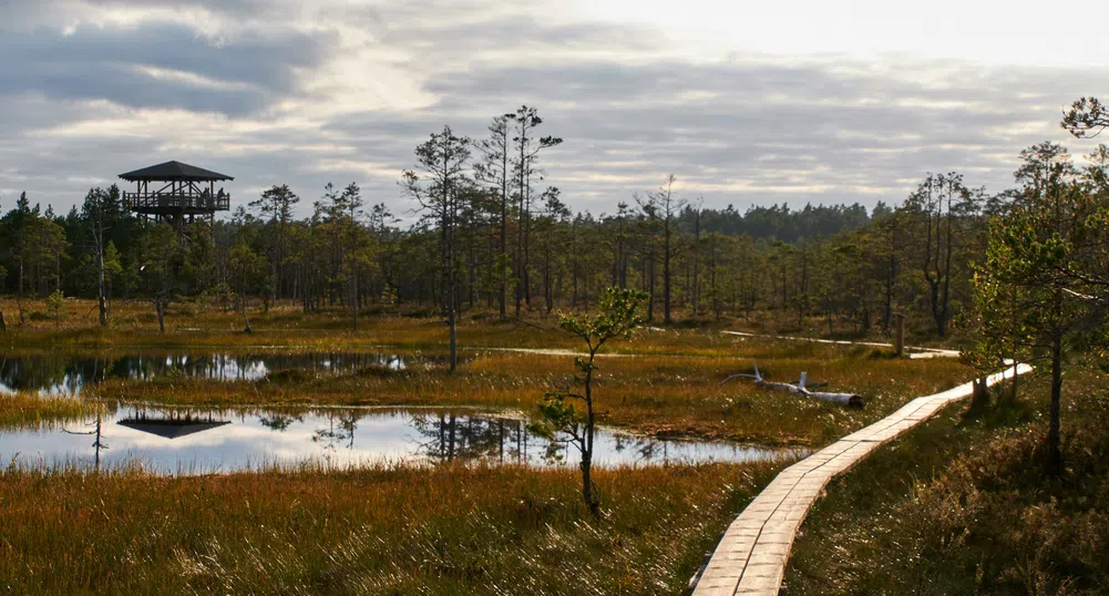 Торфените блата по източния фланг на НАТО - новата линия „Мажино“ за Европа