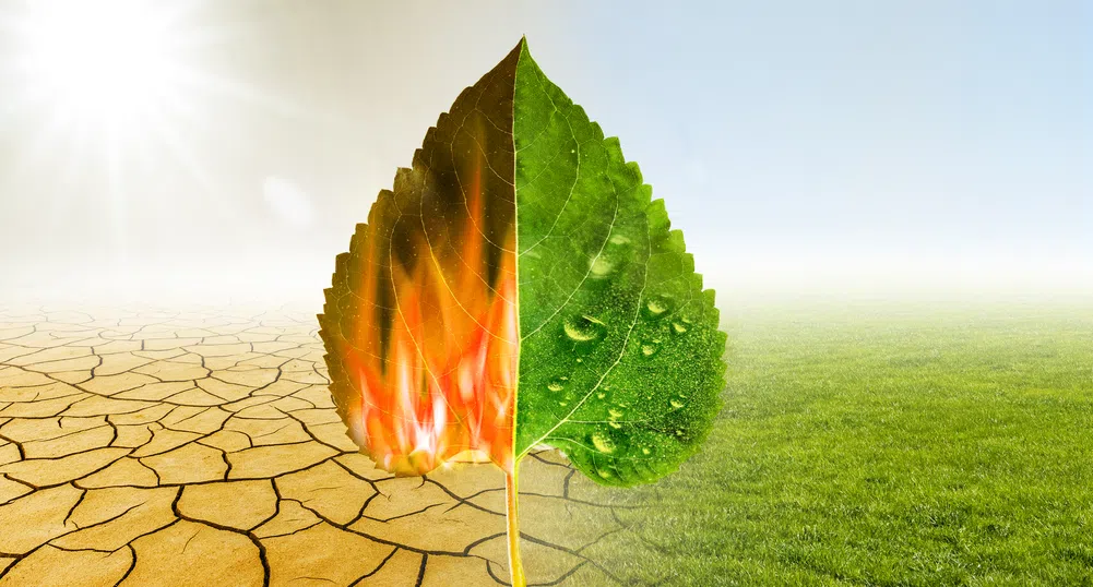 „Зелено премълчаване“ измества „зеленото изпиране“