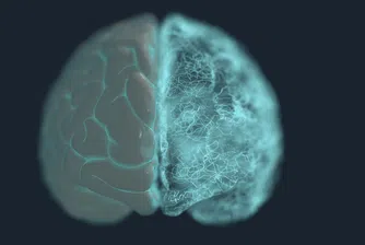 Нов научен пробив спира ранния Алцхаймер при мишки, отваряйки път към превантивно лечение