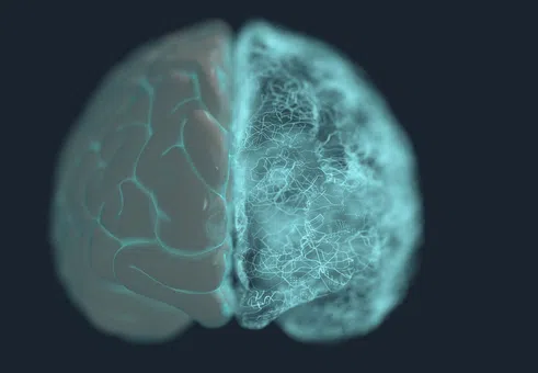 Нов научен пробив спира ранния Алцхаймер при мишки, отваряйки път към превантивно лечение