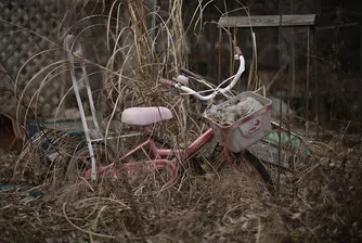 Ядреното безвремие на Фукушима, където природата процъфтява. А ако хората се завърнат?