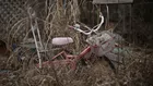 Ядреното безвремие на Фукушима, където природата процъфтява. А ако хората се завърнат?