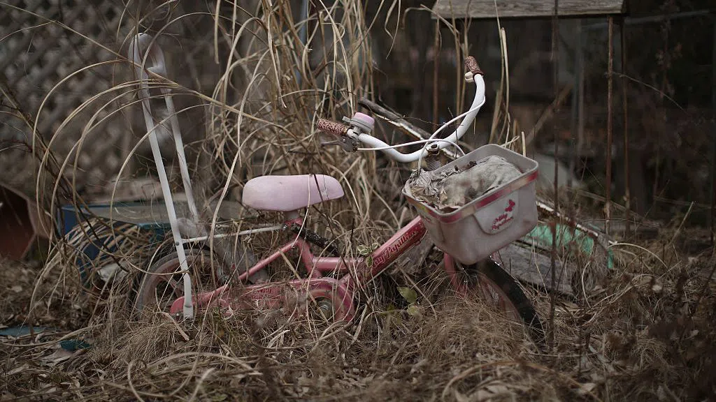 Ядреното безвремие на Фукушима, където природата процъфтява. А ако хората се завърнат?