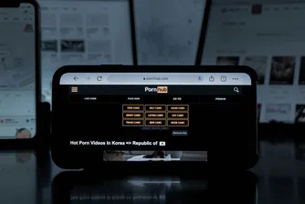 Проверката е по-специално за липса на инструменти за проверка на възрастта, които да предпазват непълнолетни лица от съдържание за възрастни