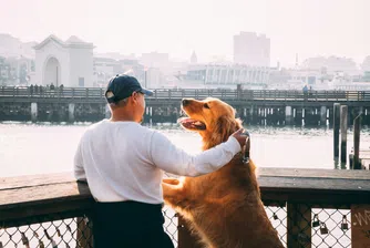 „Пухкави бебета“ вместо истински? Наистина ли хората предпочитат кучета пред деца