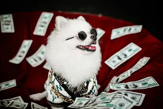 Осинови куче – вземи платен отпуск: Какви са тенденциите в корпоративните придобивки?