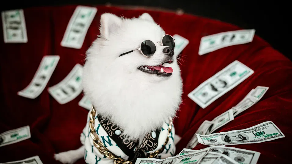 Осинови куче – вземи платен отпуск: Какви са тенденциите в корпоративните придобивки?