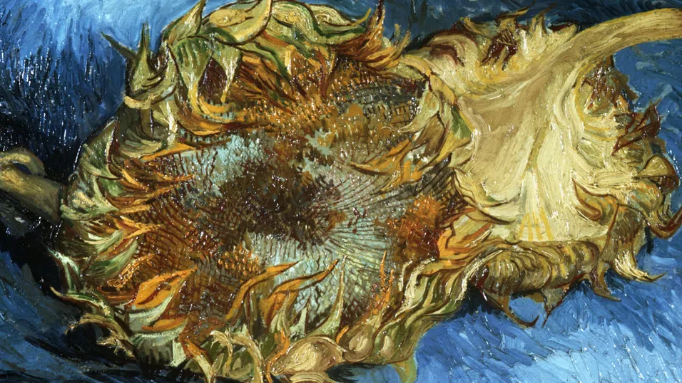 Слънчогледите в творчеството на Ван Гог като огледало на човешкото