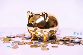 56,4 млрд. евро са депозитите на домакинствата у нас към края на юни по данни на БНБ