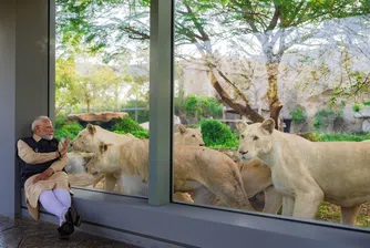 Има ли злоупотреби и насилие в огромния частен зоопарк на милиардерите Амбани