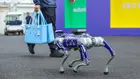 Идва ли ChatGPT моментът за роботите? Според главния изпълнителен директор на Unitree – да