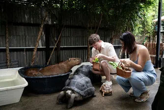 Експерти се опасяват, че подобни места насърчават нелегалната търговия и застрашават редки видове