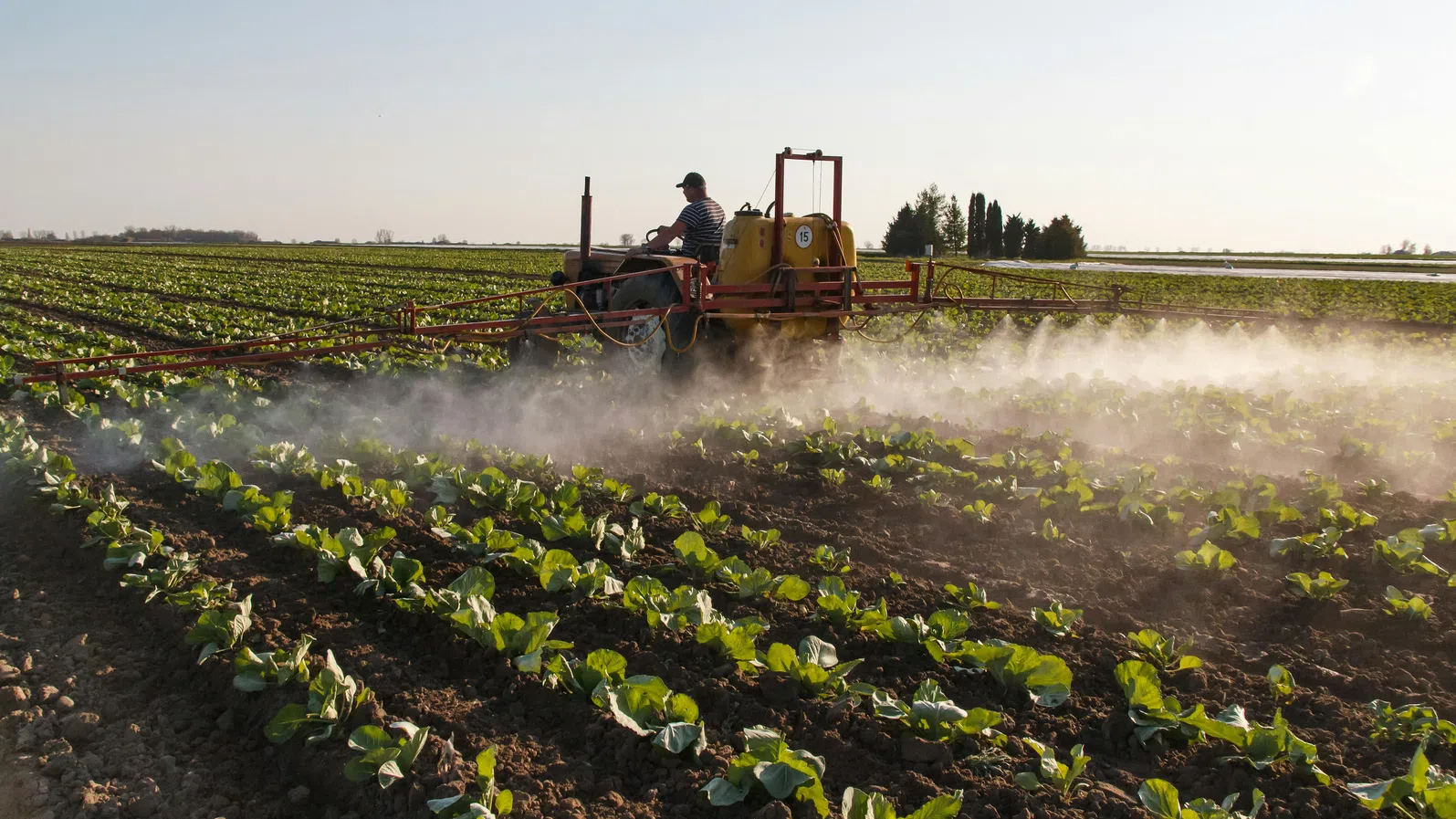 Европа очаква силен удар от енергийния шок върху цените на храните – кои държави са най-уязвими