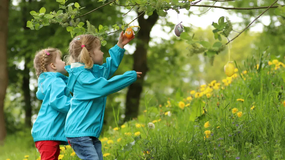 Приличаме си във всичко... дори по кихането. Имат ли близнаците еднакви алергии?