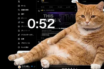 „Котка пазач“: Как един виртуален любимец ви спасява от безкрайното скролване