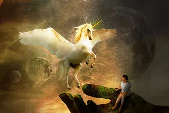 Методът ALICE или формулата на един стартъп да стане еднорог