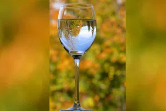 Бихте ли платили над 20 евро за бутилка вода? Нова порода сомелиери вярват, че H₂O може да съперничи на виното