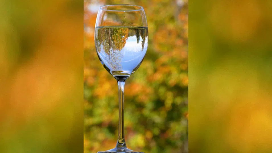 Бихте ли платили над 20 евро за бутилка вода? Нова порода сомелиери вярват, че H₂O може да съперничи на виното