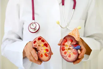 Свински бъбрек функционира 271 дни в човешко тяло, преди да бъде отстранен