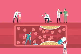 Краят на митовете за „добрия“ и „лошия“ холестерол: Какво показват последните начуни изследвания