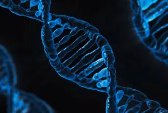 AI модел на Google DeepMind разчита „кода на живота“ в ДНК