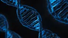 AI модел на Google DeepMind разчита „кода на живота“ в ДНК