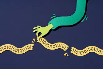 Багаж с отворен достъп: Пробив в Airportr разкрива данни на дипломати и пътници от цял свят