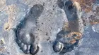 Нови фосилни отпечатъци разкриват повече за загадъчен човешки родственик