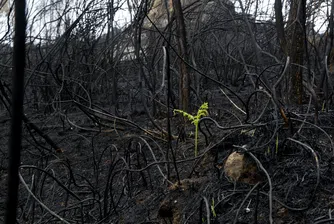Увреждането на околната среда застрашава европейския начин на живот, сочи доклад