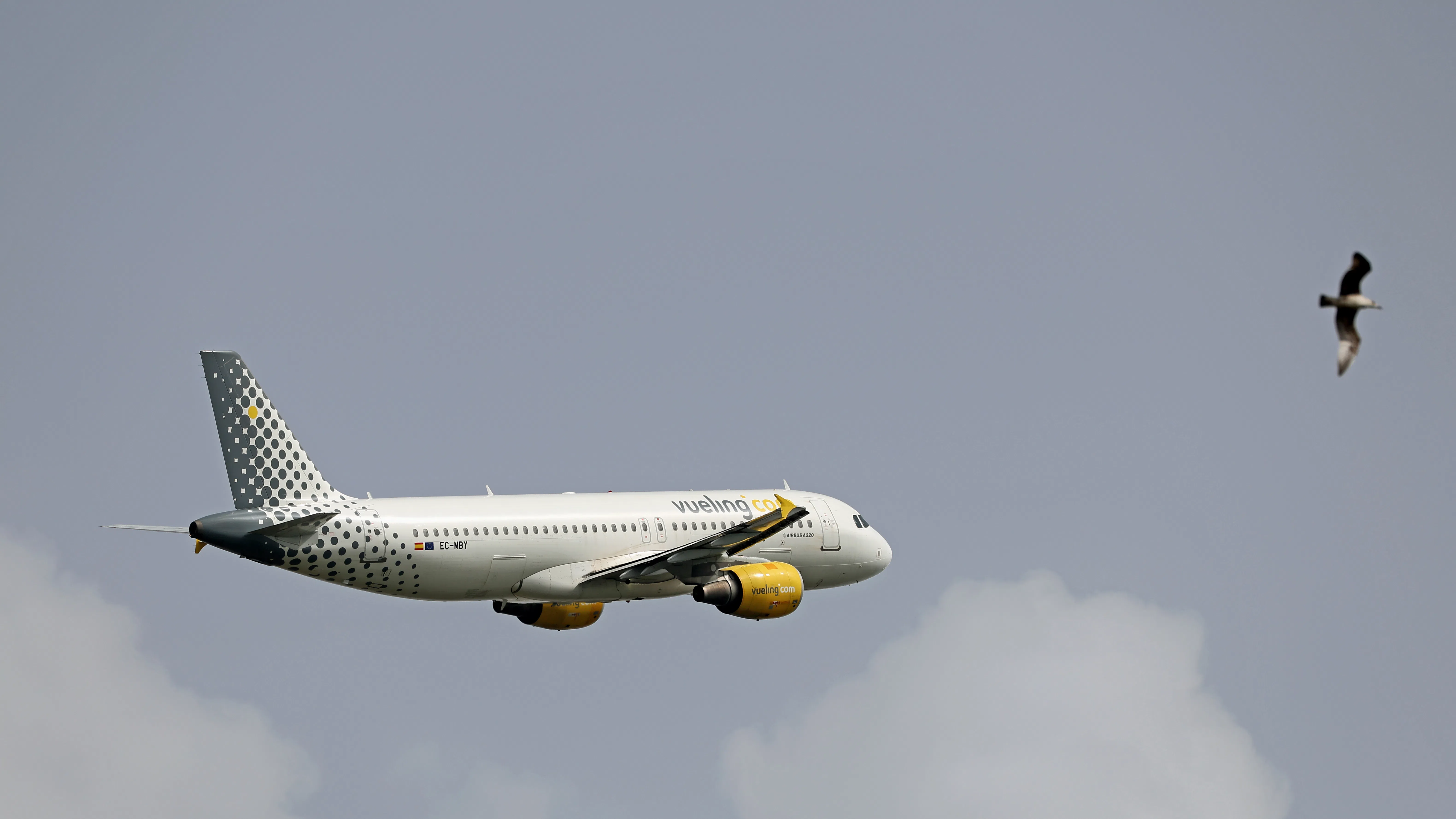 Изтеглянето на Airbus A320 нарушава глобалните пътувания след проблем, свързан със слънчеви изригвания