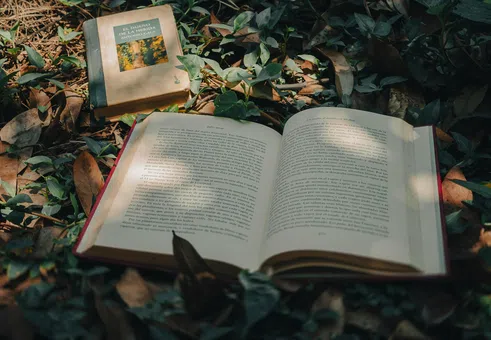 От „Хари Потър“ до „Бриджъртън“: Холивуд все повече залага на адаптации по литературни заглавия