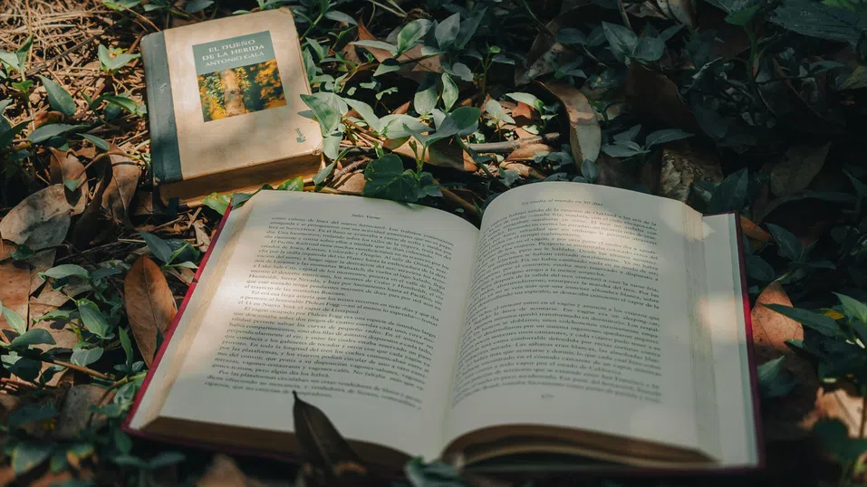 От „Хари Потър“ до „Бриджъртън“: Холивуд все повече залага на адаптации по литературни заглавия