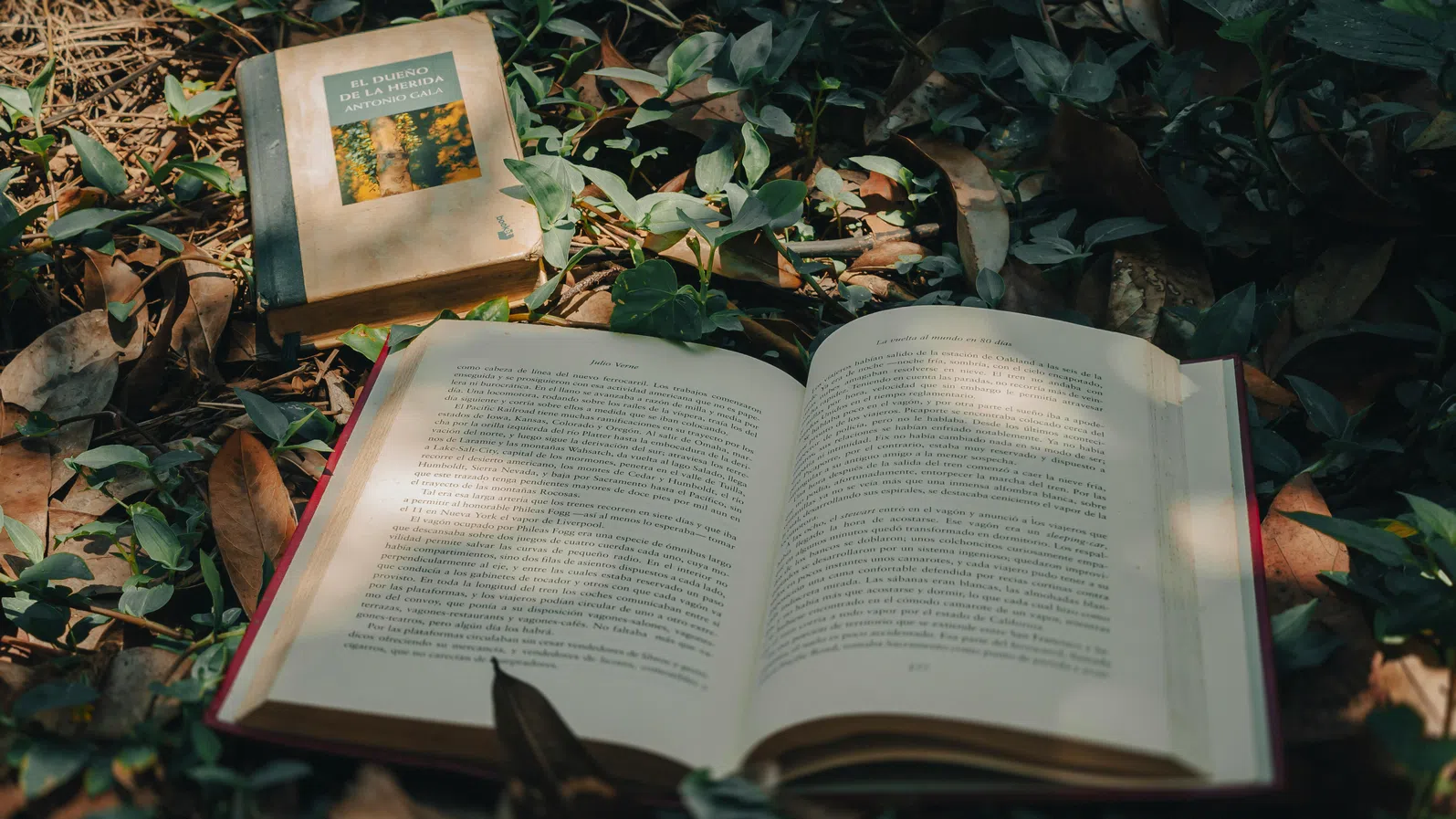 Холивуд и ненаситният му глад за литературни заглавия