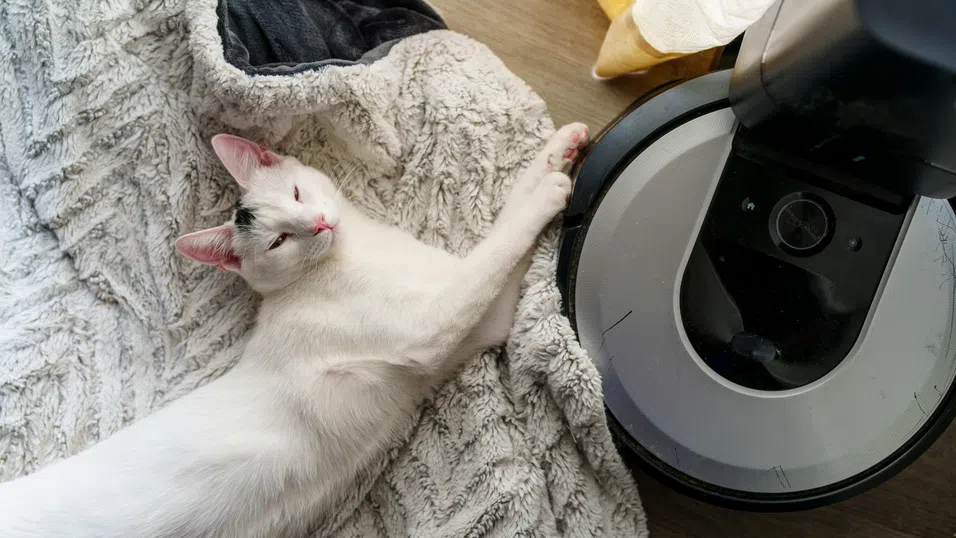 Какво може да прави прахосмукачката-робот, когато не чисти? Учените имат идеи