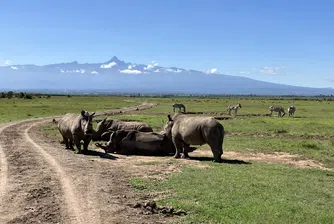 Обратно в природата: Тези шест резервата връщат земята в естественото ѝ състояние