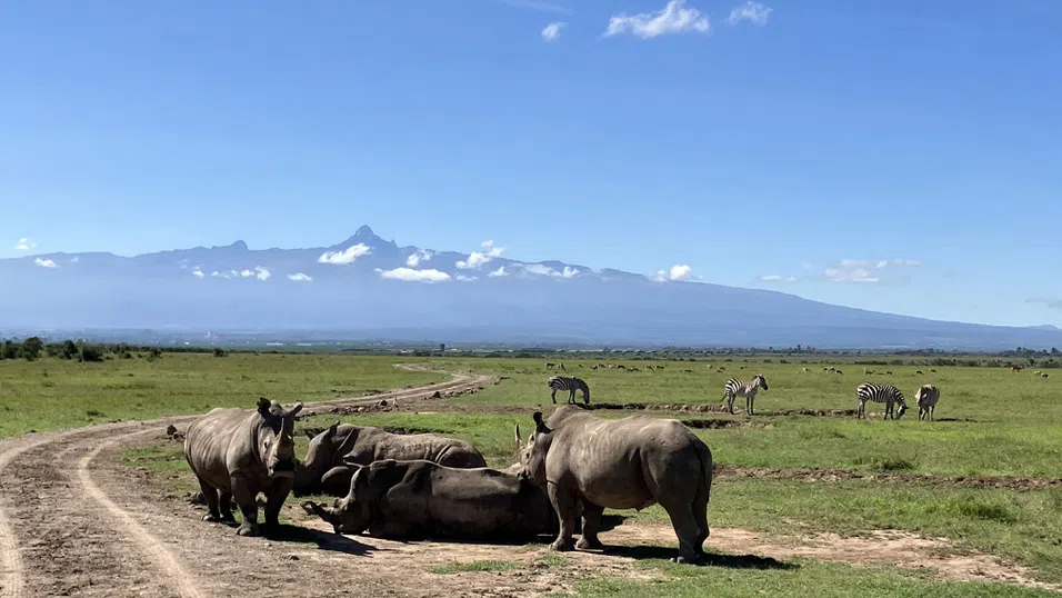 Обратно в природата: Тези шест резервата връщат земята в естественото ѝ състояние