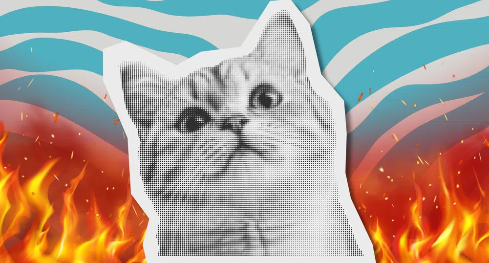 CatVideoFest: Светът гори? Просто пуснете видео с котки