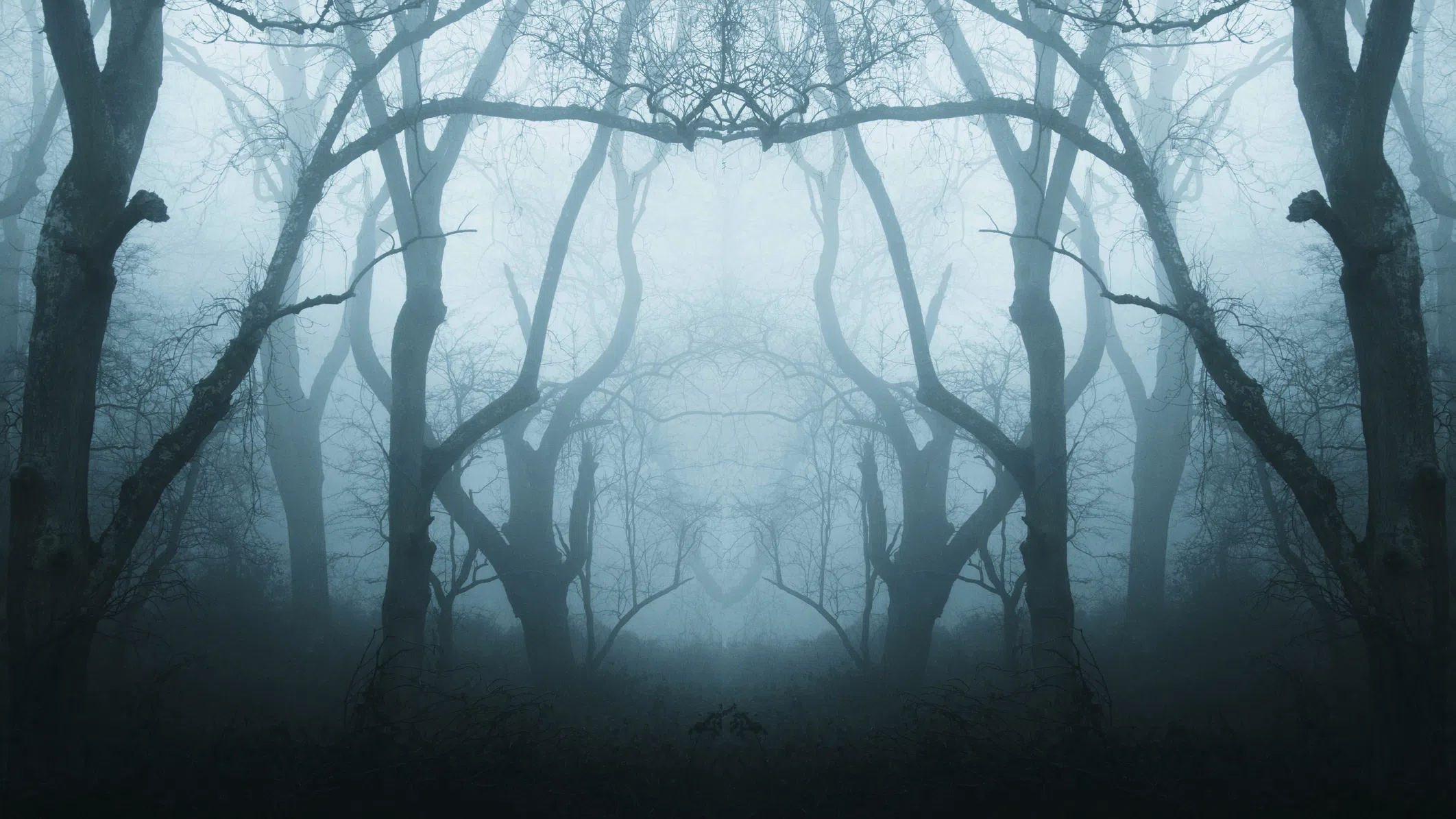 Най-призрачната гора в света: Изкривени дървета, НЛО и легенди от Трансилвания