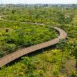 Akouédo : comment l'ancienne plus grande décharge d'Abidjan est devenue un immense parc urbain