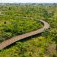 Akouédo : comment l'ancienne plus grande décharge d'Abidjan est devenue un immense parc urbain