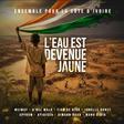 Côte d'Ivoire : des stars de la musique s'unissent pour dénoncer les ravages de l'orpaillage clandestin dans "L'eau est devenue jaune"