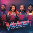 THE VOICE : PLUS QU’UNE VOIX À PARTIR DU 12 JUIN  SUR CANAL+MAGIC