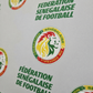Sénégal : après le fiasco du Mondial, la Fédération vide son sac et révèle les failles des Lions