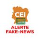 La CEI lance la page 'Alerte Fake News' pour contrer la désinformation électorale