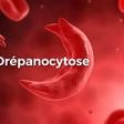 DRÉPANOCYTOSE : TOUT CE QU'IL FAUT SAVOIR POUR COMBATTRE L'IGNORANCE QUI TUE