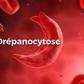 DRÉPANOCYTOSE : TOUT CE QU'IL FAUT SAVOIR POUR COMBATTRE L'IGNORANCE QUI TUE
