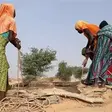 Raffinerie Dangote : 28 284 Nigérianes vulnérables vont recevoir des actions