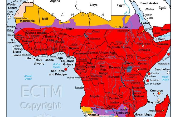 Santé : malaria en Afrique, une cartographie du risque qui redéfinit les priorités de prévention